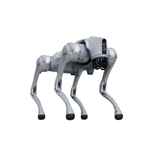 Flexi unser Roboterhund Flexi unser Roboterhund